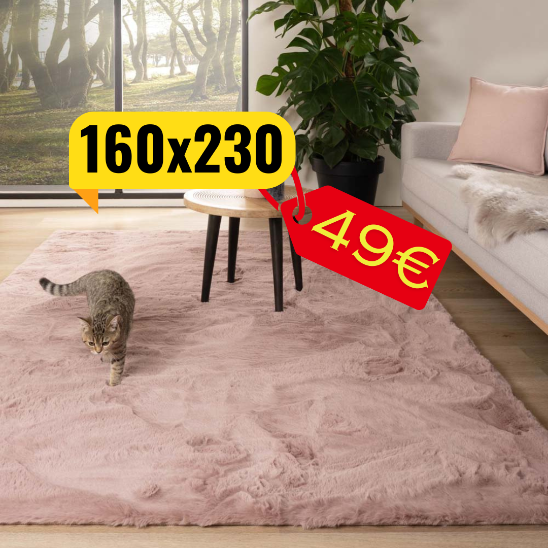 Soft Touch Teppich Pink 160x230cm Angebot